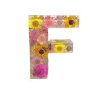26 Letters Floral Resin Night Light Handmade Floral Pressed Flower Letters with Led Light, Personalized Custom Dry Flower Name Night Light Lamp for Birthday Party Decor, Christmas Decor