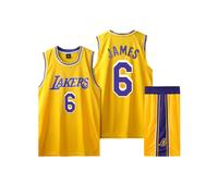 (26, Yellow) Los Angeles Lakers No. 6 LeBron James adult and children's jersey set