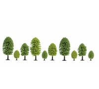 26901 Noch Pack of 10 Deciduous Trees Height from 5 to 9 cm