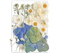 26pcs Dried Pressed Flowers for Resin Molds,YoothBro Real Natural Pressed Flowers for DIY Art Crafts,Candle Making, Nails Décor,Soap Making, Phone Case
