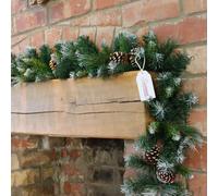Samuel ALEXANDER 270cm x 25cm Frosted Glacier Christmas Garland with Pine Cones