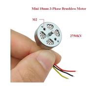 2750KV 18mm 3-phase Brushless electronic starter High Speed 2S-3S 2mm Shaft RUAJOGYNVM(Only Motor)