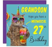 27th Grandson Birthday Card - Meowgical Cat Funny Birthday Card for 27 Year old twenty seven, twenty seventh