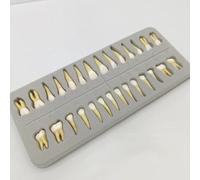 28 Pcs Full Permanent Teeth Model, Standard Adult Permanent Teeth Dental Model, Artificial Resin, with Tooth Root, for Dental School Teaching and Anatomy Demonstration