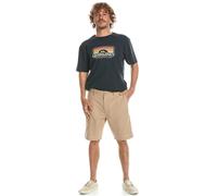 (28, Plage) Quiksilver Mens Davis Cotton Straight Fit Fixed Waistband Chino Walkshorts
