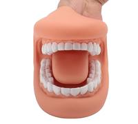 28 Teeth Mouth Puppet with Tongue, Silicone Speech Demonstration Oral Teeth Model SLP Articulation Oral Tool for Clinic School Teaching