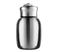 280ML/9.85Oz Small Mini Vacuum Insulated Water Bottle Portable Leakproof Travel Mug Stainless Steel Cold and Hot Thermal Flask for Kids Children Women School Office Coffee Milk Tea (Steel Color)