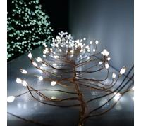 288 LED 1.8m Premier Christmas Outdoor 8 Function Gold Wire Lights in Cool White Samuel Alexander White One Size