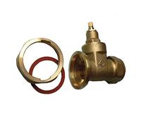 28mm Gate Type Pump Valve - Pack of 2