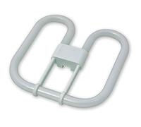 28W 2 PIN Energy Saver 2D LAMP*