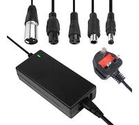 29.4V 2A Electric Bike Charger, Mobility Scooter Charger Lithium Battery Charg-er, Fast Charging Power Adapter for Scooter, Balance Bike with Led Indicator 4 Types of Plugs