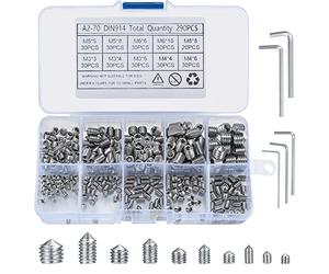 290 Pcs Cone Cup Point Grub Screws, M3/M4/M5/M6/M8 Hex Head Socket Screws Set Assorted, Mixed Stainless Steel Metric Threads with Internal Hex Drive for Door Handles, with 5 Pcs Allen Key