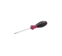 29165-WIH1 29165 Screwdriver Torx® TX25 MicroFinish® L.Blades: 100mm WIHA