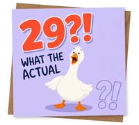 29th Birthday Card, Funny Design