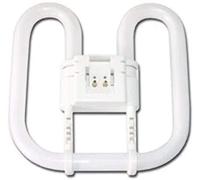 2D 28W 2 Pin White GR8 835