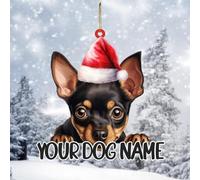 2D Acrylic Merry Christmas Ornaments,Custom Dog Name Miniature Pinscher Ornaments Decoration for Christmas Tree Stocking Stuffers Hanging Keepsake Xmas New Year Birthday Gifts for Dog Mom Dad