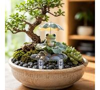 2D Flat Interesting Little Frog Mini Ground Plug, Signboard, Good Partner for Green Plants. The Best Gift for Green Plant Lovers. It is a for Weddings, Engagements, Graduation Seasons