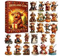 2D Funny And Cute Acrylic Christmas Calendar 24 Days