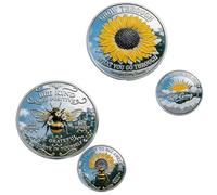 2D Inspirational Sunflower Challenge Coin - Grow Through What You Go Through | Motivational Pocket Token for Encouragement, Recovery Milestones & Daily Strength Gift B 2PCS)
