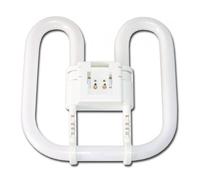 2D Square 2-Pin 240V 28W 4,000K