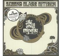 2econd Class Citizen - The Small Minority [VINYL]