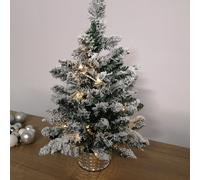 2ft (60cm) Pre Lit Battery LED Snow Flocked Miniature Christmas Tree with Timer Samuel Alexander Green One Size