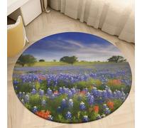2Ft Coral Velvet Round Rug Machine Washable Non Slip TPR Backing Texas Bluebonnets Scenery Area Rug Pet Friendly Doormat Low Pile Soft Plush Bedroom Carpet for Living Room Kitchen Entryway Dorm in