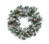 2ft Frosted Glacier Wreath with Pine Cones