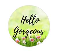 2in Round Label Stickers 100pcs Hello Gorgeous Hello Beautiful Quotes Label Decals for Boxes Laptop Envelope Seal Jar Water Bottles Phone Holiday Present Christmas Party Invitation Cards