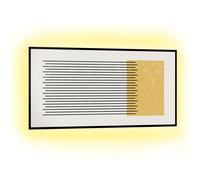 2in1 Convector Heater Infrared Radiant Heating Panel Indoor Thermostat 1000W App