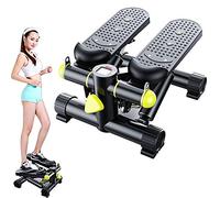 2In1 Stepper with Display, Body Sculpture Lateral Twist Stepper, Hydraulic Mini Weight Loss Slim Legs Plastic Fitness Eq