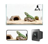 2K HD Reptile Tank WiFi Camera, 140° Wide-Angle Night Vision for Bearded Dragon, Gecko, Chameleon & Exotic Lizards, Anti-Glare Glass Mount, Two-Way Audio, AI Motion Alerts, 24/7 Recording