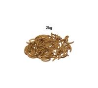 (2kg) Bucktons Dried Mealworms Premium Wild Bird Food
