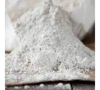 2KG DIATOMACEOUS EARTH Feed Supplement DE Powder - 100% Natural Insect Mite Treatment - Red Mite Fleas and All Animal Lice Control Powder by Two Amigos Pet Supplies