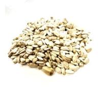 2kg White Sunflower Seeds Food for Wild and Aviary Birds