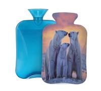 2L Hot Water Bottle with Cover, Polar Bears Arctic Large Capacity Hot Water Bag for Hot Cold Compress, Hand Feet Warmer, Neck Shoulder Pain Relief