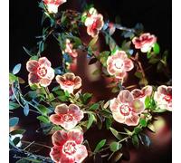 2M Green Leaf Cherry Blossom Fairy Lights with 20 LED,Battery Operated Flower String Lights for Bedroom Decor,Indoor Spring Christmas Decorations,Romantic Gift for Girls Room,Wedding,Party (Pink A)
