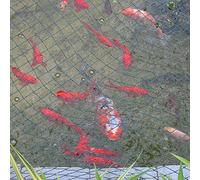 2m x 10m Heavy Duty Mesh Garden Netting Pond Netting Fruit Vegetation Allotment Protection Net, Pond Fish Bird Netting Fencing Cover Predator Deterrent for Outdoor Gardening