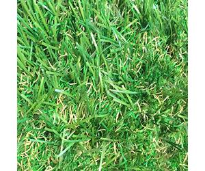 2m x 1m Luxury 30mm Pile Height Artificial Grass | Natural & Realistic Looking Astro Garden Lawn | 3 ft 3 Inch x 6 ft 5 Inch | 100cm x 200cm | 39 x 79 Inches | High Density Fake Turf