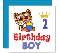2nd Birthday Card Boy - Tiger Beach Ball - Happy Birthday Card 2 Year Old Boy, Boys Cards for Him, 145mm Greeting for Son Nephew Grandson Kid Children