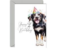 2nd Birthday Cards for Girls Boys - Party Dog - Happy Birthday Card for 2 Year Old Girl Boy Granddaughter Grandson Daughter Son Niece Nephew, 5x7 Inch Bday Greeting Cards