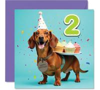 2nd Birthday Cards for Girls Boys - Party Dog - Happy Birthday Card for 2 Year Old Girl Boy Sister Niece Daughter Brother, 145mm Bday Greeting Cards