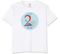 2nd Birthday I am 2 Tee Shirt, Dinosaur Birthday, Age 2 Birthday Top, I am 2 Today, Super Soft Fabric, Standard fit,Size 2, White & blueMachine Washable, White