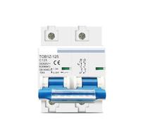2P 100A 80A 125A DC MCB 600V Circuit breaker For PV System Battery Main Switch BIANMTSW(125A)