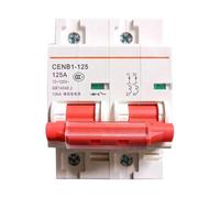 2P 120V DC Circuit Breaker Battery Car Protector Mini Circuit Break 125A 100A 80A 63A Thermal Magnetic Trip B Curve(63A)