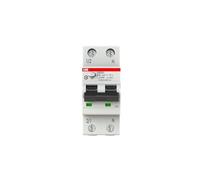 2P 16A B DS201 2CSR255180R1165 Differential Current Switch