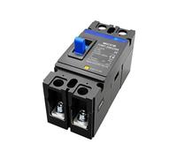 2P 3P 4P AC MCCB Single Phase 3 Moulded Case Circuit Breaker | AC400V 100A 125A 150A 160A 200A 250A For Elevator(2P AC400V MCCB,125A)