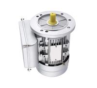 2P/4P Electric Motor, YL100 B5 Vertical Flange Mount 2.2K/3KW 220V Single Phase Asynchronous Motor 28mm Shaft(YL100 4 2.2KW 28 Shaft 1400rpm)