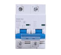 2P 80A/100A/125A/150A/200A/250A DC Circuit Breaker 12V-125V Solar RV yacht Battery Protection Circuit Breaker Protection Switch(150A)