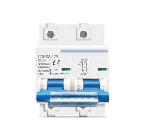 2P 80A 100A 125A DC MCB 600V Circuit Breaker FOR PV System C Curve Battery Main Switch 1Pcs(125A)